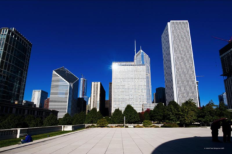 20081030_124454 D3 2x3 P1 srgb.jpg - View of Chicago skyscrapers from Milleniium Park